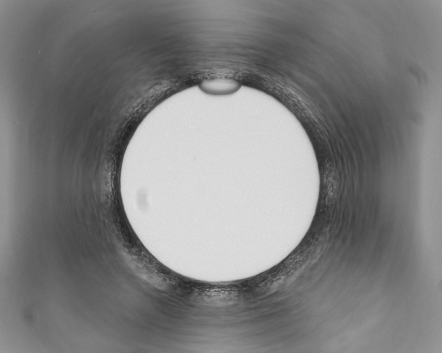 X0000110740546200907271103