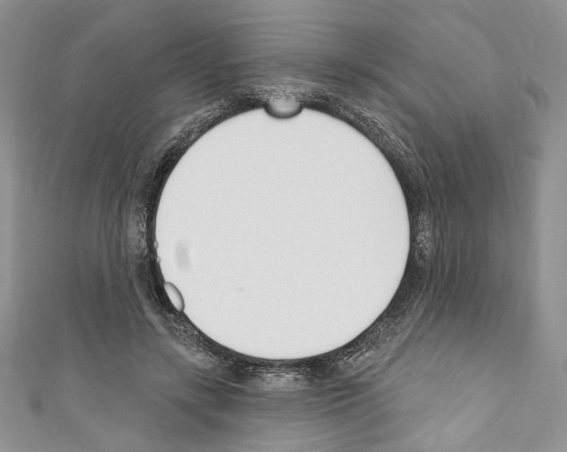 X0000110740547200907271103