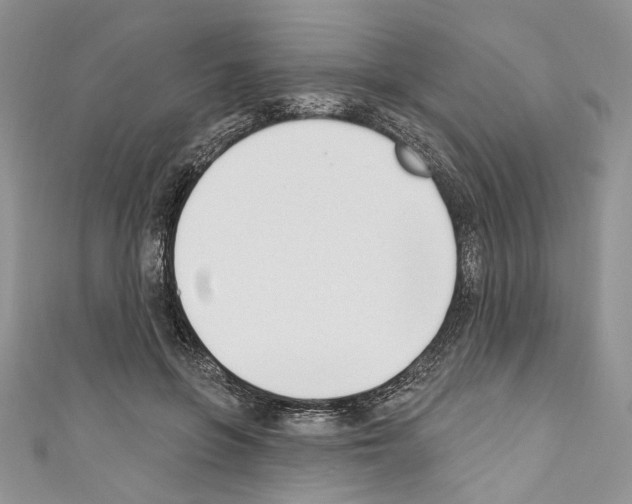 X0000110740551200907271104