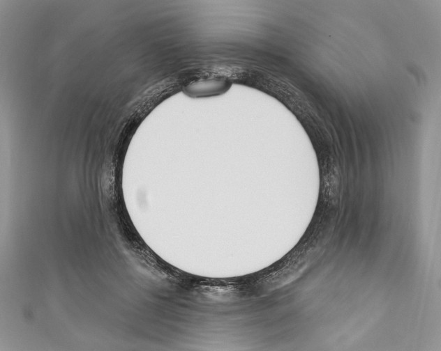 X0000110740552200907271104