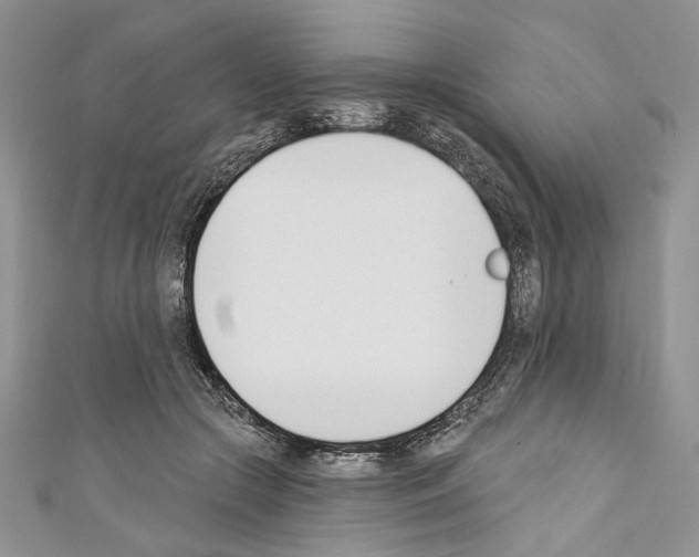 X0000110740553200907271104