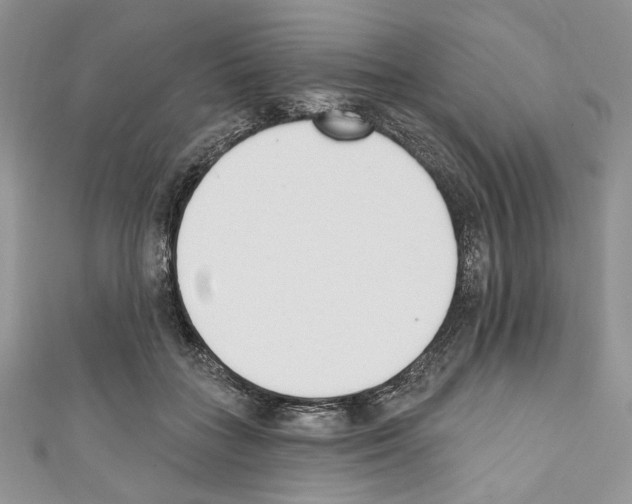 X0000110740555200907271104