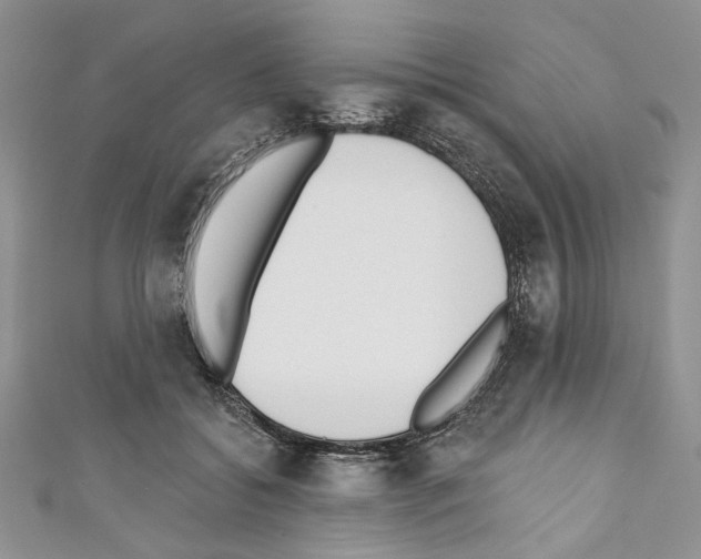 X0000110740556200907271104