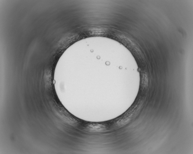 X0000110740557200907271104