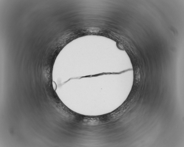 X0000110740559200907271104