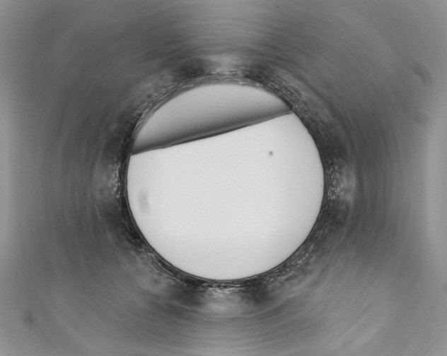 X0000110740560200907271104