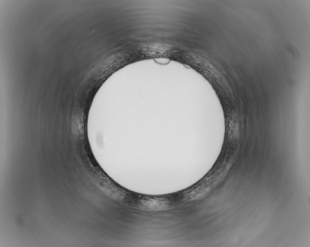 X0000110740561200907271104