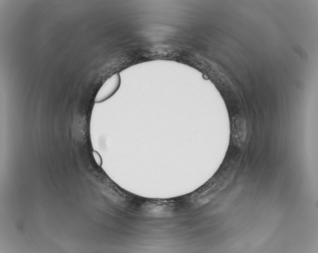 X0000110740563200907271104