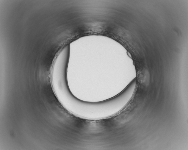 X0000110740564200907271104