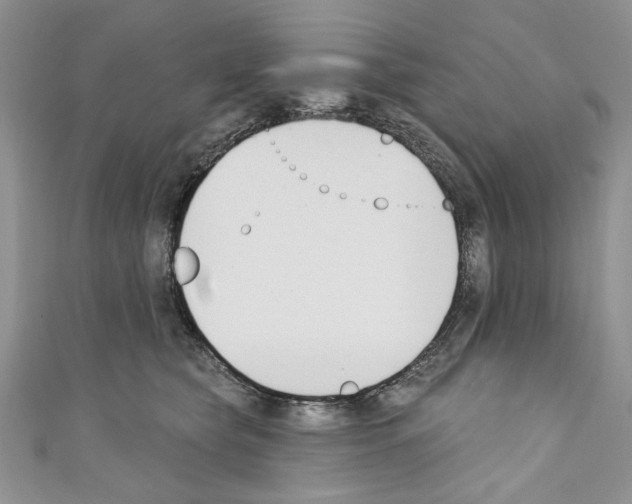 X0000110740565200907271104