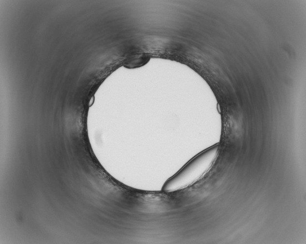 X0000110740566200907271104