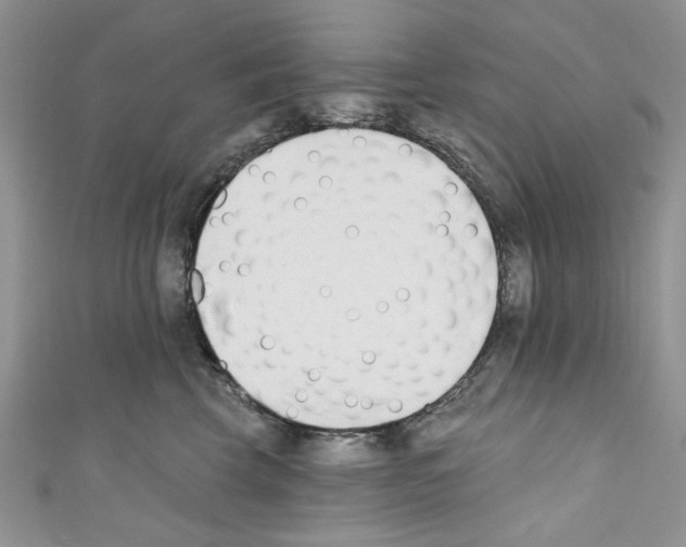 X0000110740569200907271104