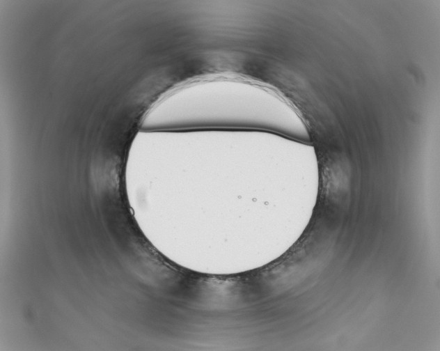 X0000110740570200907271104