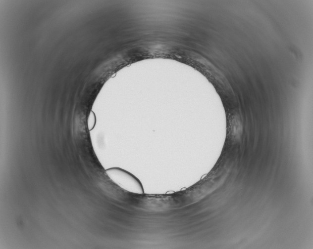 X0000110740571200907271104