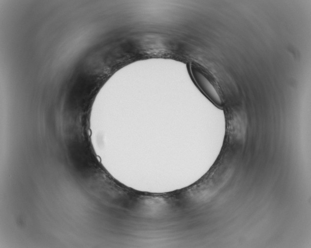 X0000110740572200907271104