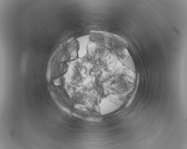 X0000110740573200907271104