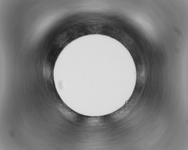 X0000110740574200907271104