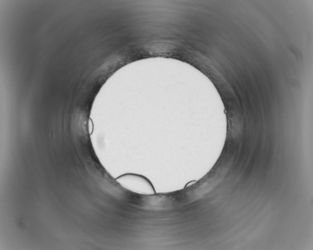 X0000110740575200907271104