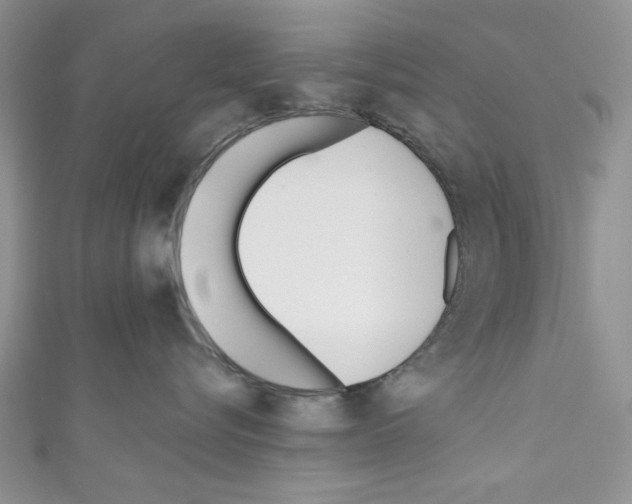 X0000110740576200907271104