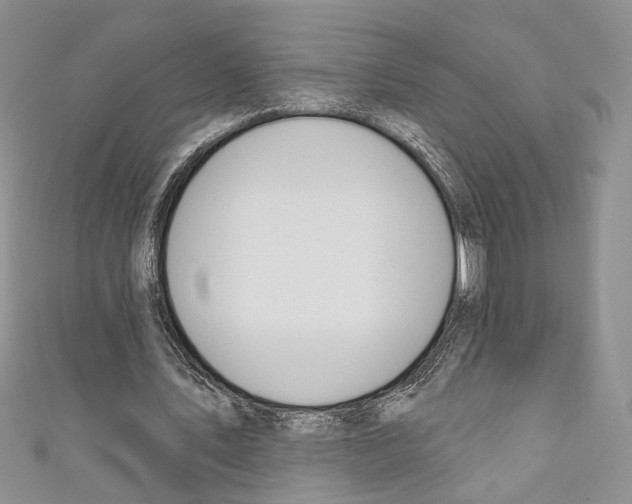 X0000110740579200907271103