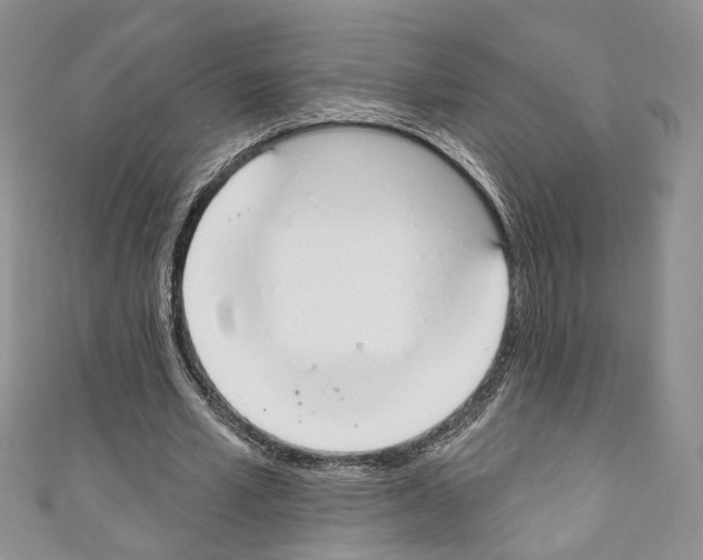 X0000110740581200907271103