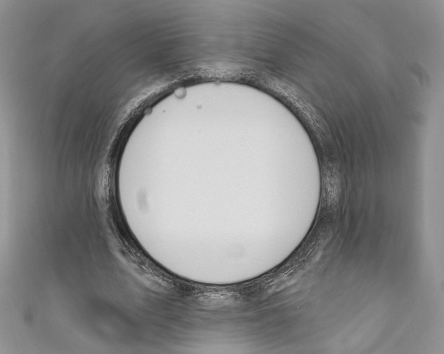 X0000110740583200907271103