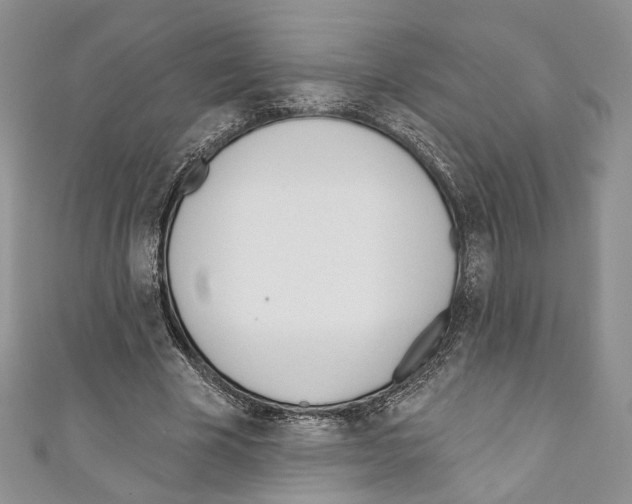 X0000110740585200907271103