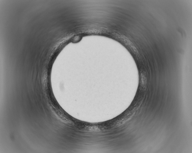 X0000110740588200907271103