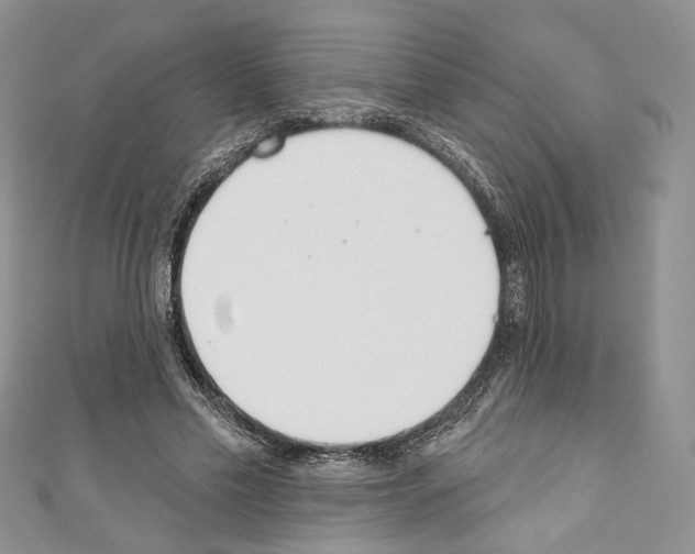 X0000110740589200907271103