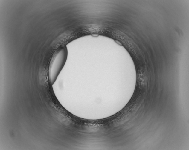 X0000110740593200907271103