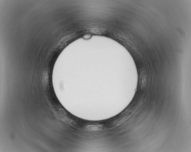 X0000110740595200907271103