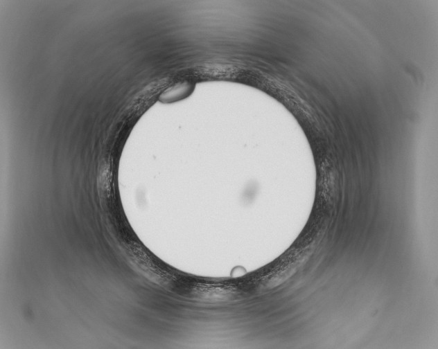 X0000110740597200907271103