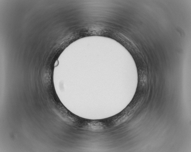 X0000110740603200907271103