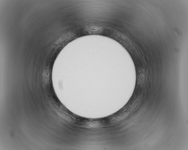 X0000110740604200907271103