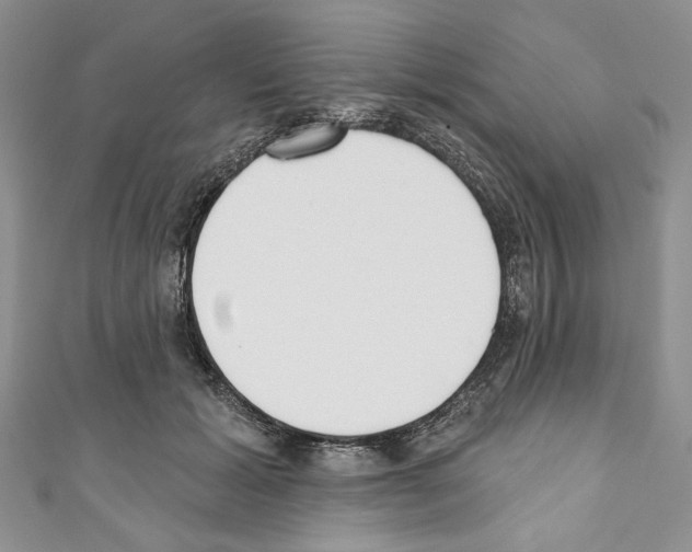 X0000110740605200907271103