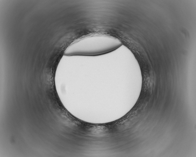 X0000110740609200907271103