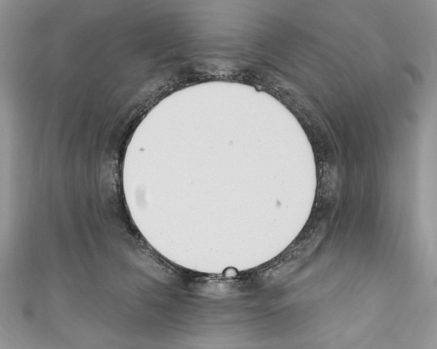 X0000110740612200907271103