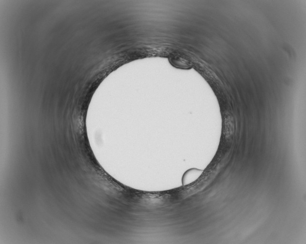 X0000110740613200907271103