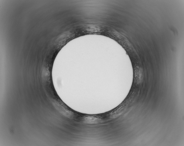 X0000110740614200907271103