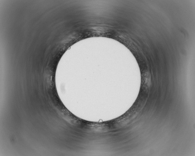 X0000110740615200907271103