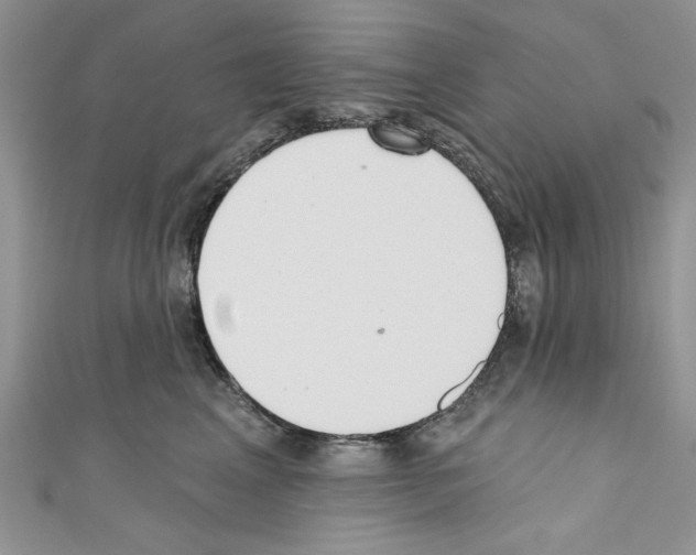 X0000110740617200907271103