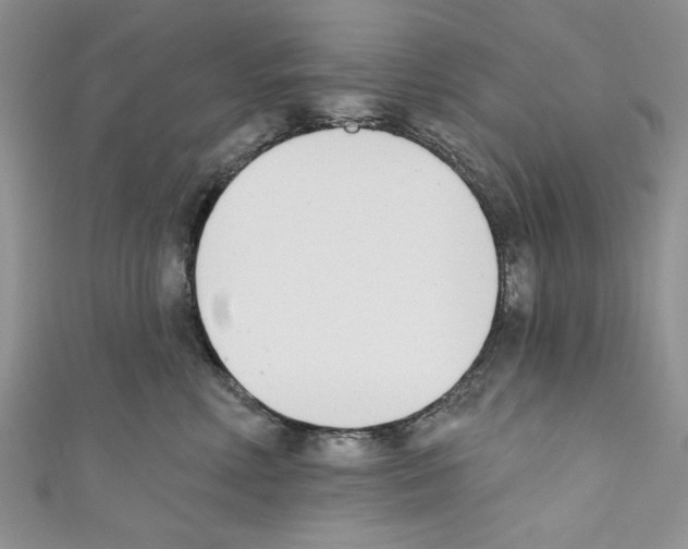 X0000110740618200907271103