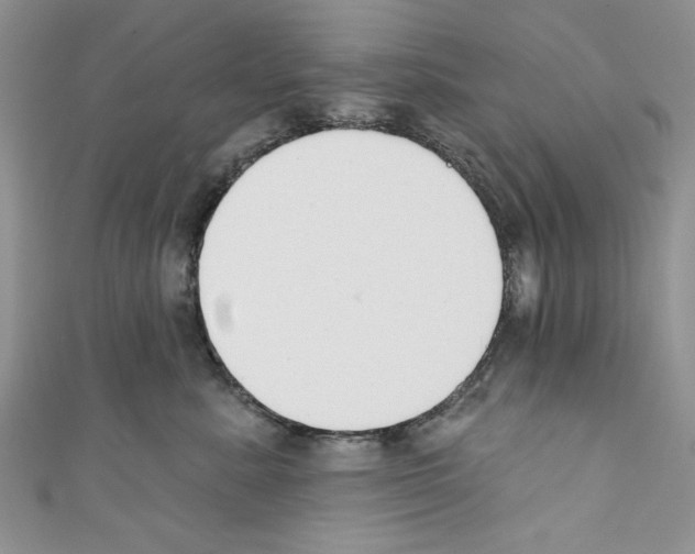 X0000110740619200907271103