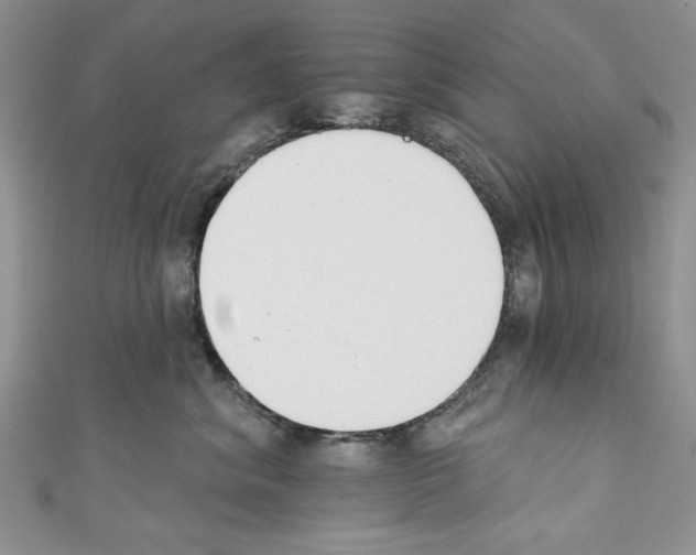 X0000110740620200907271103