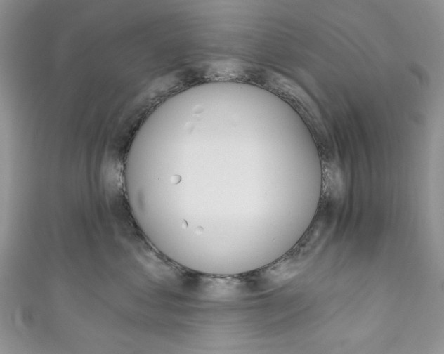 X0000110740621200907271103