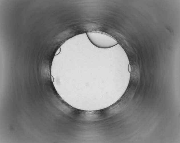 X0000110740622200907271103
