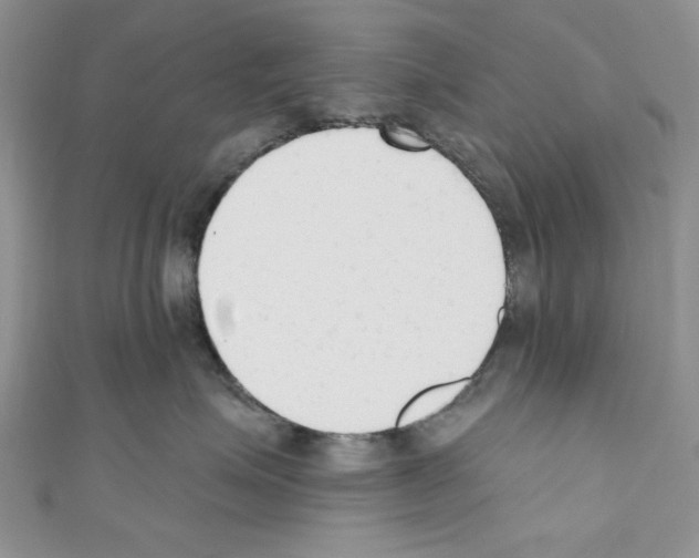 X0000110740623200907271103