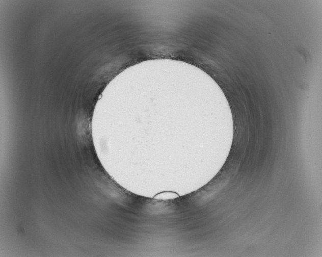 X0000110740624200907271103