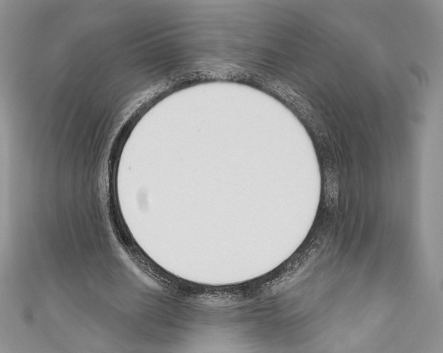 X0000110740630200907271102