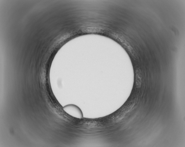 X0000110740631200907271102